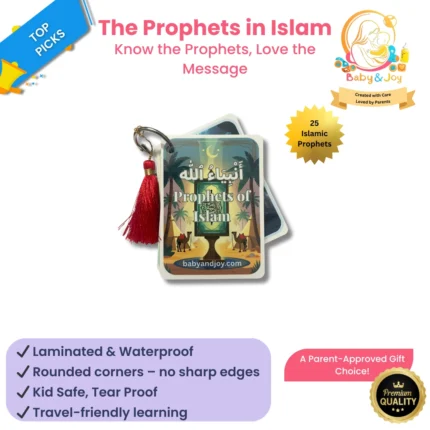 Prophets of Islam babyandjoy